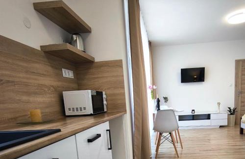 Svidnik Apartment | Cozy Apartmány Nikola: Ideal for Families with Breakfast Included