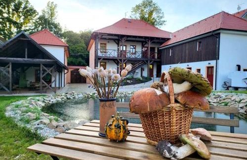Horni Plana Apartment | Pet-Friendly Stay at Apartmány Pernek: Guest Rated 9.5/10