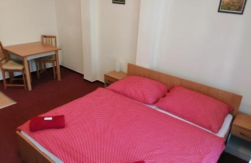 Horni Marsov Apartment | Family-Friendly Apartments Near Ski Slopes - Top Rated 9/10
