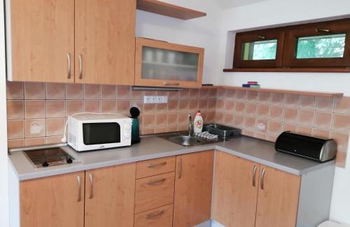 Horni Marsov Apartment | Family-Friendly Apartments Near Ski Slopes - Top Rated 9/10