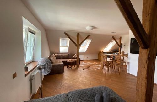 Olomouc Apartment | Discover Apartmány Polská 12: Family-Friendly Escape