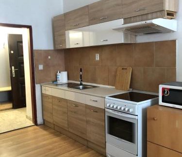 Usti nad Labem Apartment | Pet-Friendly Stay at Apartmány Pražská - Rated 8/10!