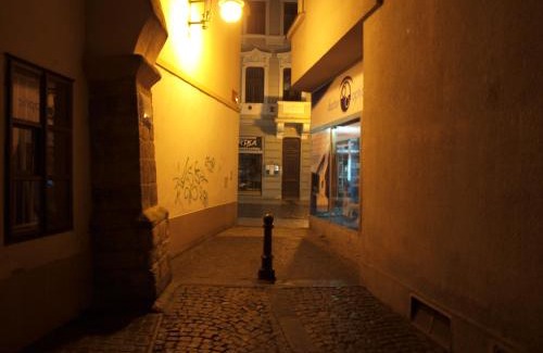 Louny Apartment | Pet-Friendly Apartmány Rossa with Kitchen & Family Comfort