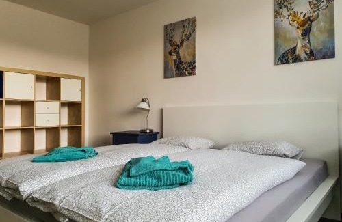 Kovarska Apartment | Discover Apartmány SCHMIEDEBERG: Pet-Friendly Retreat