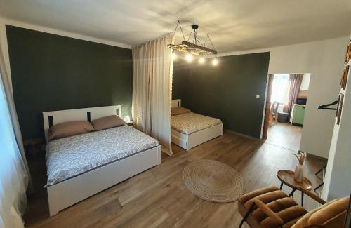 Dolni Rychnov Apartment | Eco-Friendly Apartmány Silvestr with Hot Tub & Family Amenities