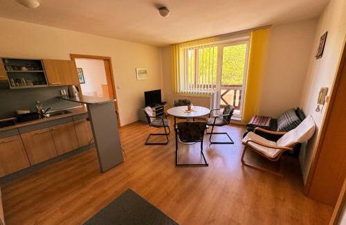 Velky Slavkov Apartment | Pet-Friendly Apartmány Slavkov in Dolný Smokovec