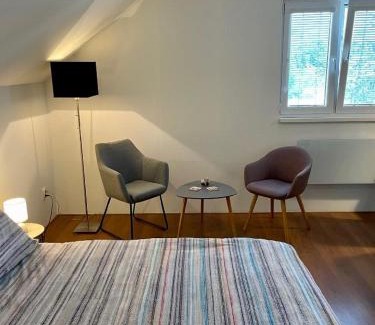 Jesenik Apartment | Family-Friendly Apartmány Slunce: Pet-Friendly Retreat