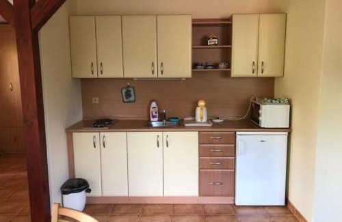 Buchlovice Apartment | Pet-Friendly APARTMÁNY SMRAĎAVKA with Hot Tub & High Ratings