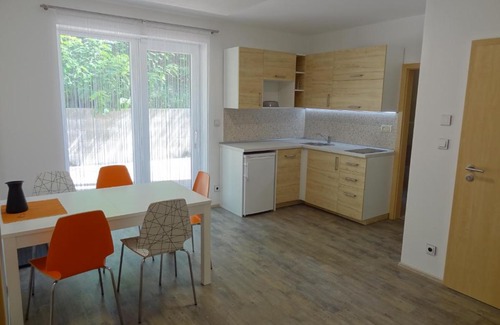 Starovice Apartment | Top-Rated Starovice Apartments with Family-Friendly Amenities