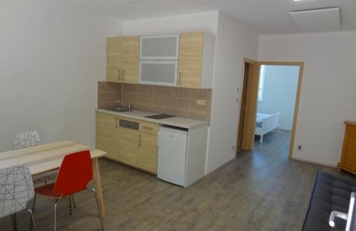 Starovice Apartment | Top-Rated Starovice Apartments with Family-Friendly Amenities