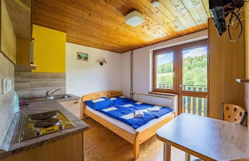 Dolni Morava Apartment | Discover Apartmány U Žaloudků: 9/10 Rating & Pool Access