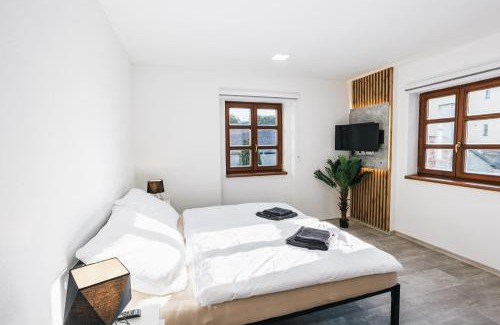 Jindrichuv Hradec Apartment | Apartmány U Doskočilů