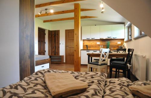 Orlicke Zahori Apartment | Pet-Friendly Apartmány U Fibichů with Hot Tub & Kitchen