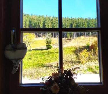 Velke Karlovice Apartment | Discover Apartmány u Ivanky: Family-Friendly Retreat