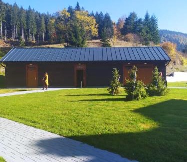 Velke Karlovice Apartment | Discover Apartmány u Ivanky: Family-Friendly Retreat
