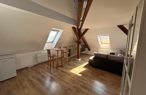 Hradec Kralove Apartment | Explore Apartmány u Kubíků: 9.2/10 & Family-Friendly Stay