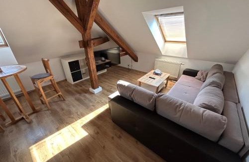 Hradec Kralove Apartment | Explore Apartmány u Kubíků: 9.2/10 & Family-Friendly Stay