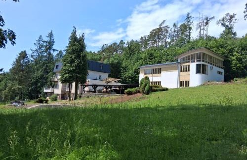 Lulec Apartment | Apartmány U Libuše