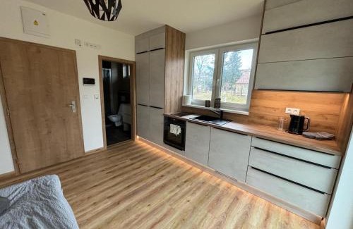 Cerna V Posumavi Apartment | Seaside Retreat at Apartmány u pláže Lipna - Malé Lipno