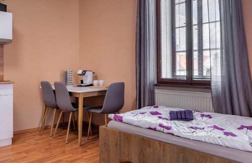 Plzen Apartment | Discover Apartmány V Mlýnské strouze - Pet-Friendly Retreat