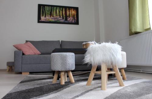 Becov nad Teplou Apartment | Family-Friendly Apartments Near the Castle with Spa Access