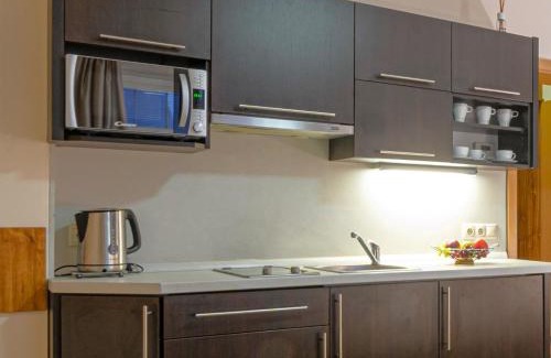 Roznov Pod Radhostem Apartment | Apartmány Vila Hedvika