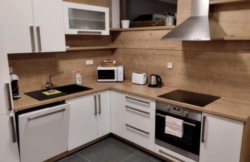 Svoboda nad Upou Apartment | Exceptional Stay at Apartmány Zlatý Hamr - Family Friendly