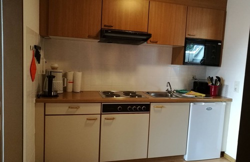 Menzenschwand-Hinterdorf Apartment | Cozy Apartment C4: Ideal for Families with Kitchen & Spa