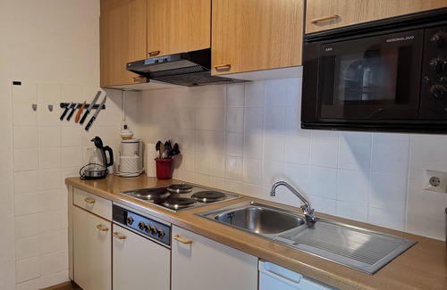 Menzenschwand-Hinterdorf Apartment | Cozy Apartment C4: Ideal for Families with Kitchen & Spa