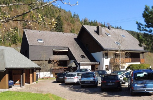 Menzenschwand-Hinterdorf Apartment | Cozy Apartment C4: Ideal for Families with Kitchen & Spa