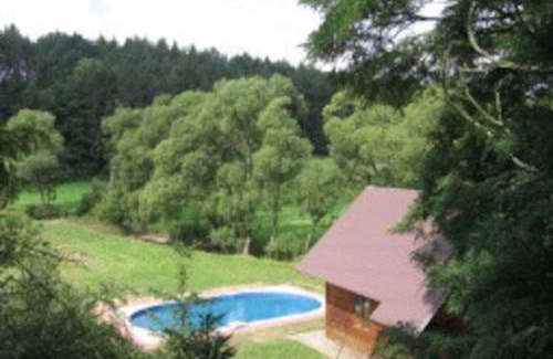 Bechyne House | Pet-Friendly Retreat: Enjoy a Pool at Apartma Šťastný III