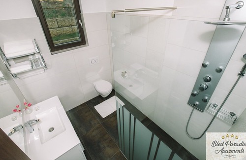 Zasip Apartment | Apartma 2 (pogled na Triglav)