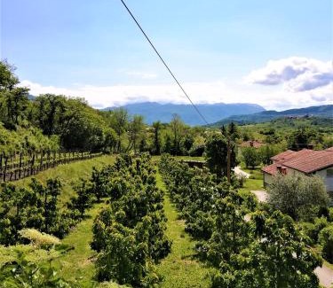 Kamnje Apartment | Pet-Friendly Apartma BAJČI with Breakfast & High Ratings