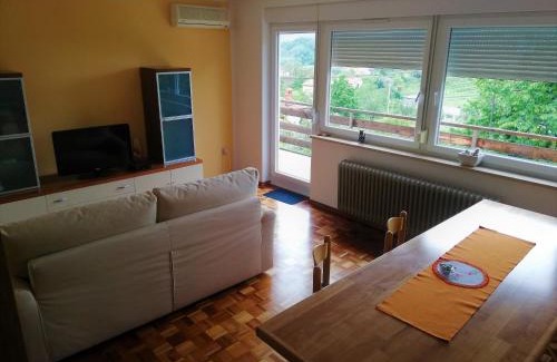 Kamnje Apartment | Pet-Friendly Apartma BAJČI with Breakfast & High Ratings