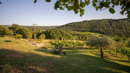 Izola Apartment | Pet Friendly Retreat: apartma Belveder with 9.8 Rating