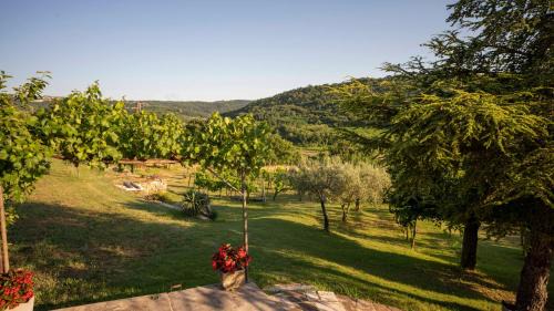 Izola Apartment | Pet Friendly Retreat: apartma Belveder with 9.8 Rating