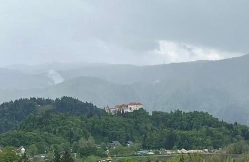 Zasip Apartment | Pet-Friendly Stay at Apartma Fekonja - Rated 9.5/10!