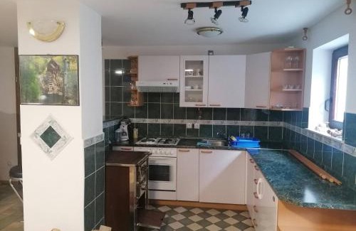 Semic Apartment | Family-Friendly Apartma Gače with Restaurant & Breakfast