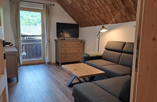 Polje Apartment | Top-Rated Pet-Friendly Escape at Apartma Hkavc Markež