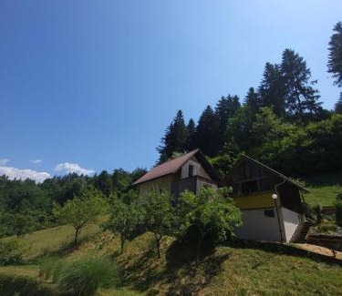 Dravograd Apartment | Relax at Apartma in Wellness Mesečina with Spa & Hot Tub