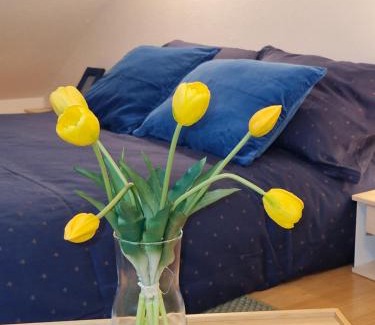 Ljubljana Apartment | Apartma Nara