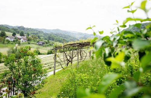 Lasko Apartment | Family-Friendly Retreat at Apartma Smithy (Kovačnica) - 9.8/10