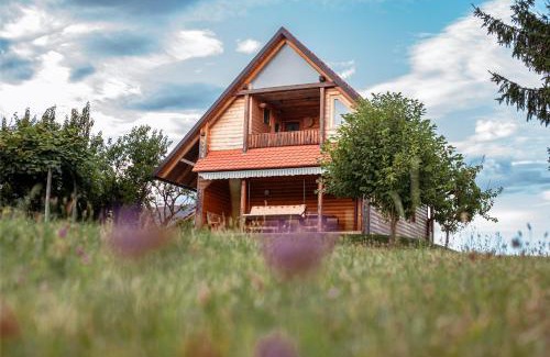 Sovjak Apartment | Pet-Friendly Apartments in Sveti Jurij ob Ščavnici, Slovenia