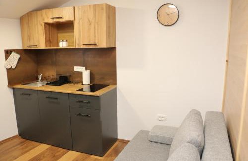 Podgorje Apartment | Apartmaji Lukovi