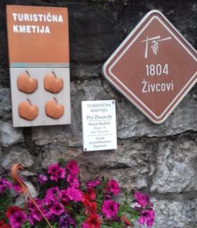 Sezana Apartment | Discover Apartmaji pri Živcovih: Pet-Friendly Retreat