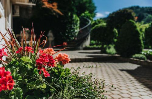 Lasko Apartment | Family-Friendly Stay at Apartmaji Urška - 4 Star Rated