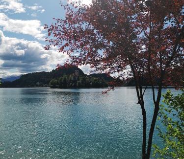 Gorje Apartment | Top-Rated Family-Friendly Stay at Apartmaji Volf