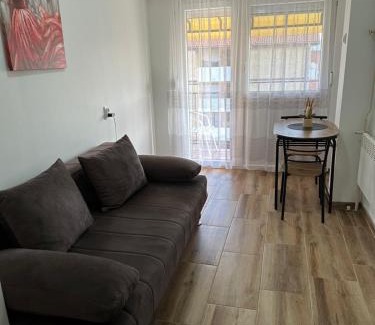 Zajecar Apartment | Family-Friendly Escape at Apartman Ćirić - 10/10 Rated
