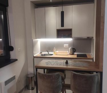 Zlatibor Apartment | Discover Apartman 23 Titova vila: Guest Rated 9.8/10!
