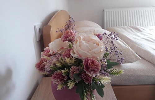 Ciganska Mahala House | Guest Rated 10/10: Family-Friendly Apartman AMALFI Stay